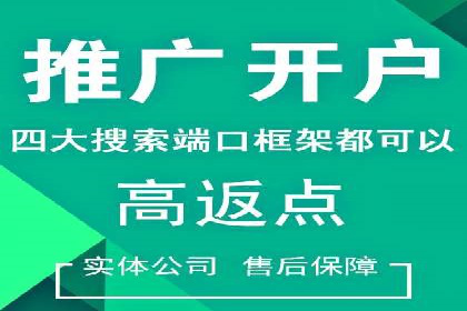 百度推广与SEO结合案例：提升网站排名的技巧